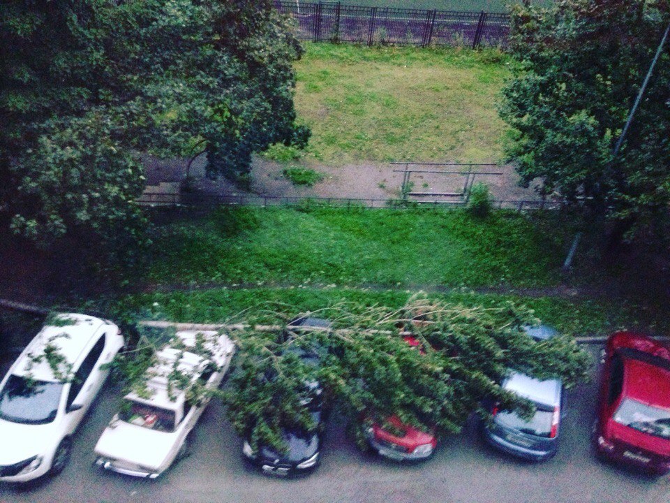 Заневский пр.